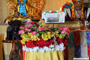 Buddha Birthday Ceremony